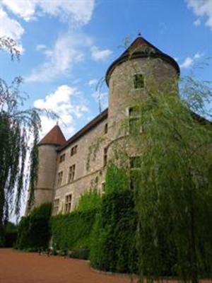 фото отеля Chateau De Tanay