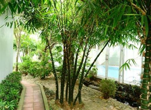 фото отеля Tre Nguon Resort