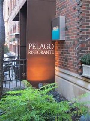 фото отеля Raffaello Hotel Chicago