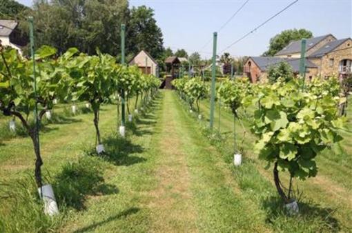 фото отеля Clos du Berger