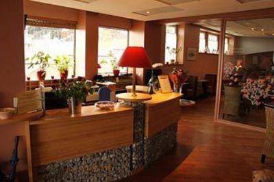 фото отеля Alize Hotel Evian les Bains