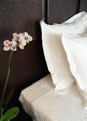 фото отеля Ambassadeur Hotel Genas