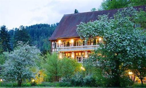 фото отеля Thermen Hotel Bad Liebenzell