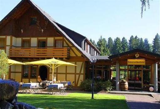 фото отеля Schwarzwaldpark hotel
