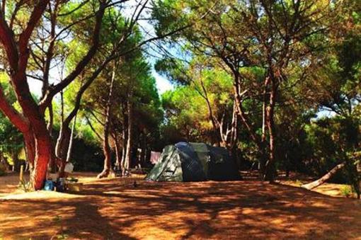 фото отеля Is Arenas Camping Village