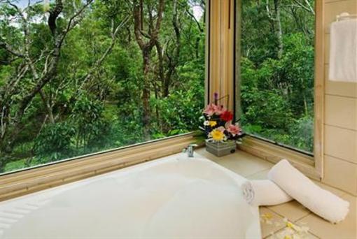 фото отеля Tree Houses of Montville
