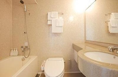 фото отеля Hotel Lumiere Nishikasai