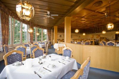 фото отеля Sonnenhotel Wolfshof Langelsheim
