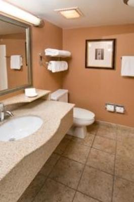фото отеля Holiday Inn Leesburg At Carradoc Hall