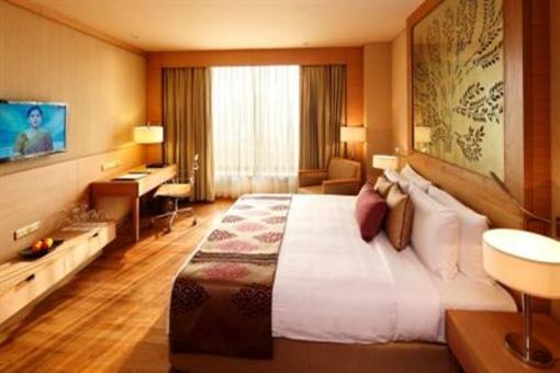 фото отеля Radisson Blu New Delhi Dwarka