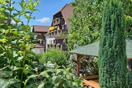 фото отеля Appart Hotel Badblick Bad Bellingen
