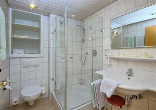 фото отеля Appart Hotel Badblick Bad Bellingen