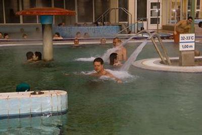 фото отеля Thermal Hotel Mosonmagyarovar