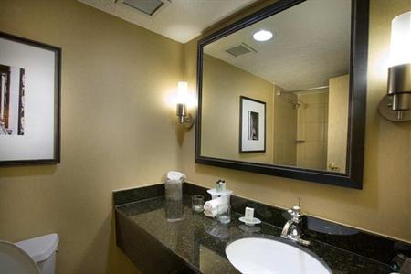 фото отеля Embassy Suites Kansas City - International Airport