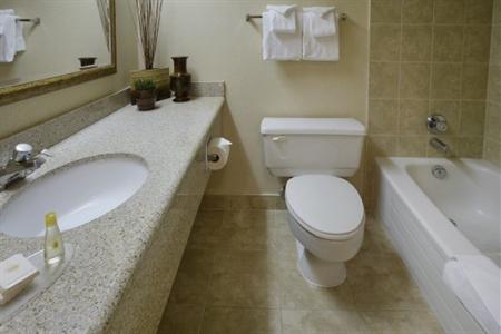 фото отеля Comfort Inn & Suites Ingersoll