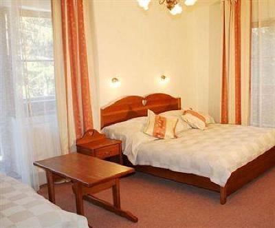 фото отеля Hotel Druzba Demanovska Dolina