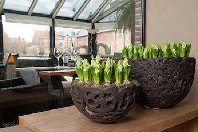 фото отеля Begijnhof Hotel Leuven