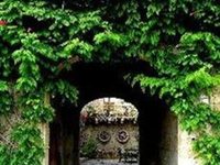 Tenuta di Corsano Hotel Monteroni d'Arbia