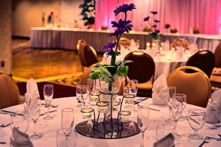 фото отеля Hilton Garden Inn Springfield (Illinois)