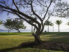 фото отеля Mercure Cairns Harbourside