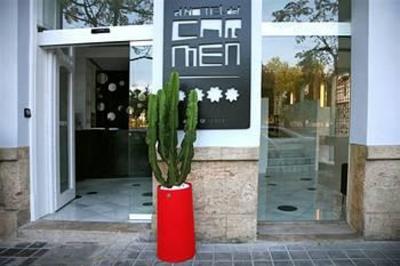 фото отеля Hotel Acta del Carmen