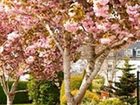 фото отеля Ballygarry House Hotel Tralee