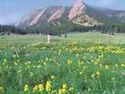 фото отеля Courtyard by Marriott Boulder