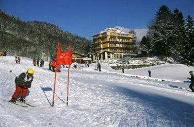 фото отеля Hotel Berghof Wilderswil-Interlaken