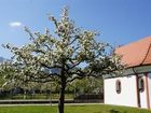 фото отеля Gasthof zum Messerschmied