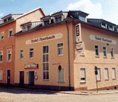 фото отеля Hotel Auerbach