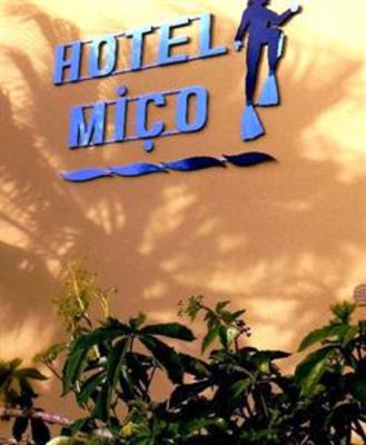 фото отеля Hotel Mico