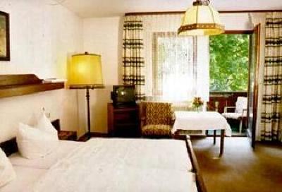фото отеля Hotel Zum Hirsch Pfalzgrafenweiler