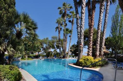 фото отеля Aparthotel Orquidea Playa