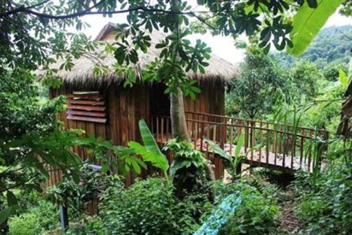 фото отеля Jasmine Valley Eco-Resort