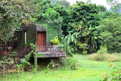 фото отеля Khao Sok Paradise Resort