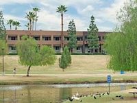 3 Palms