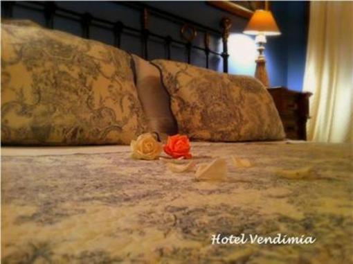 фото отеля Hotel Vendimia