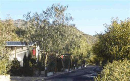 фото отеля Centro Vacacional Macenas