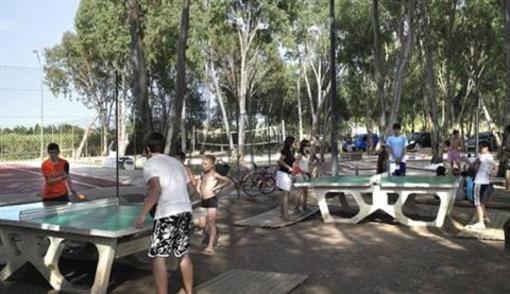 фото отеля Camping Les Palmiers