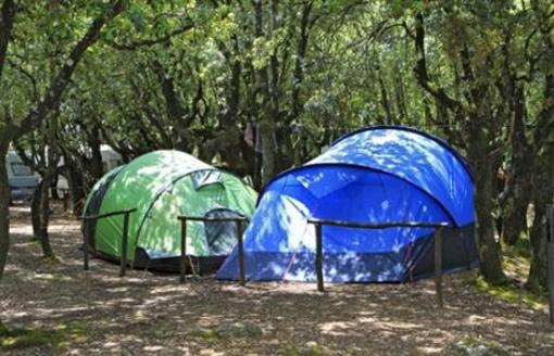 фото отеля Camping Boschetto Di Piemma