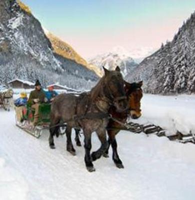 фото отеля Chalet Gastein Bad Gastein