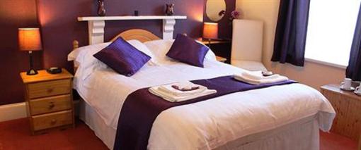 фото отеля Babbacombe Palms Guest House