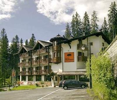 фото отеля Hotel Montana Pinzolo