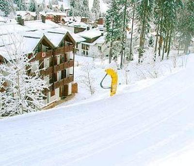 фото отеля Hotel Montana Pinzolo