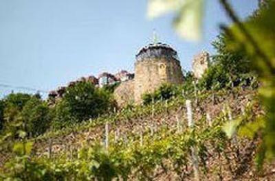 фото отеля Kauzenburg mit Landhotel Bad Kreuznach