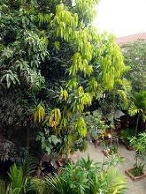 фото отеля Bou Savy Guest House