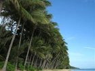 фото отеля Ellis Beach Oceanfront Bungalows Cairns