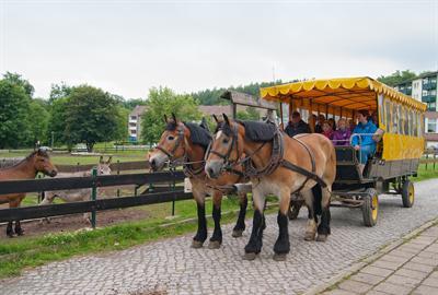 фото отеля Hotelferienanlage Friedrichsbrunn