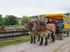 фото отеля Hotelferienanlage Friedrichsbrunn