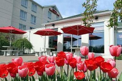 фото отеля Hilton Garden Inn Newburgh
